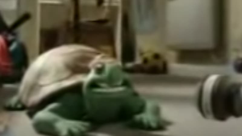 Turtle Song Persian Language meme template - Turtle Song Persian Language