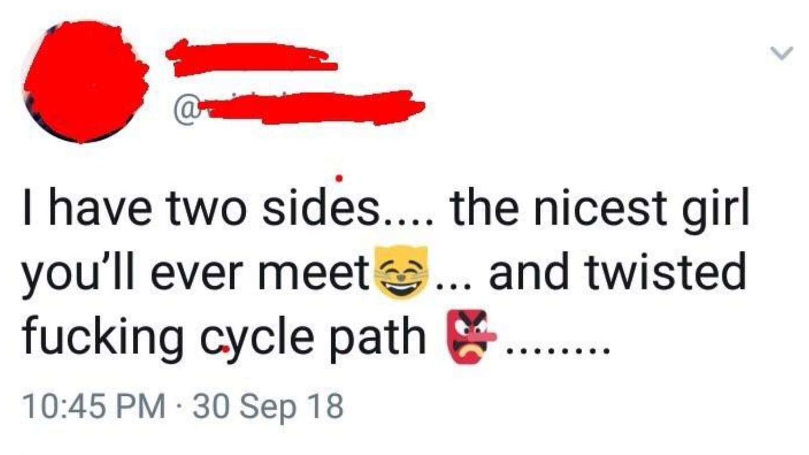 Twisted Fucking Cycle Path meme template - Twisted Fucking Cycle Path