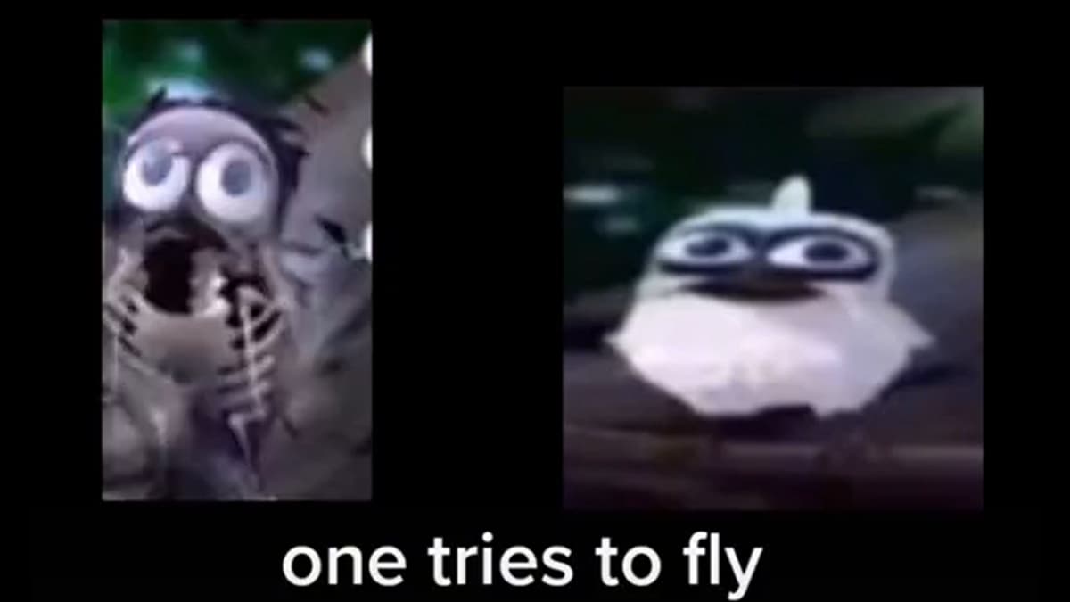 Two Birds On A Wire meme template - Two Birds On A Wire