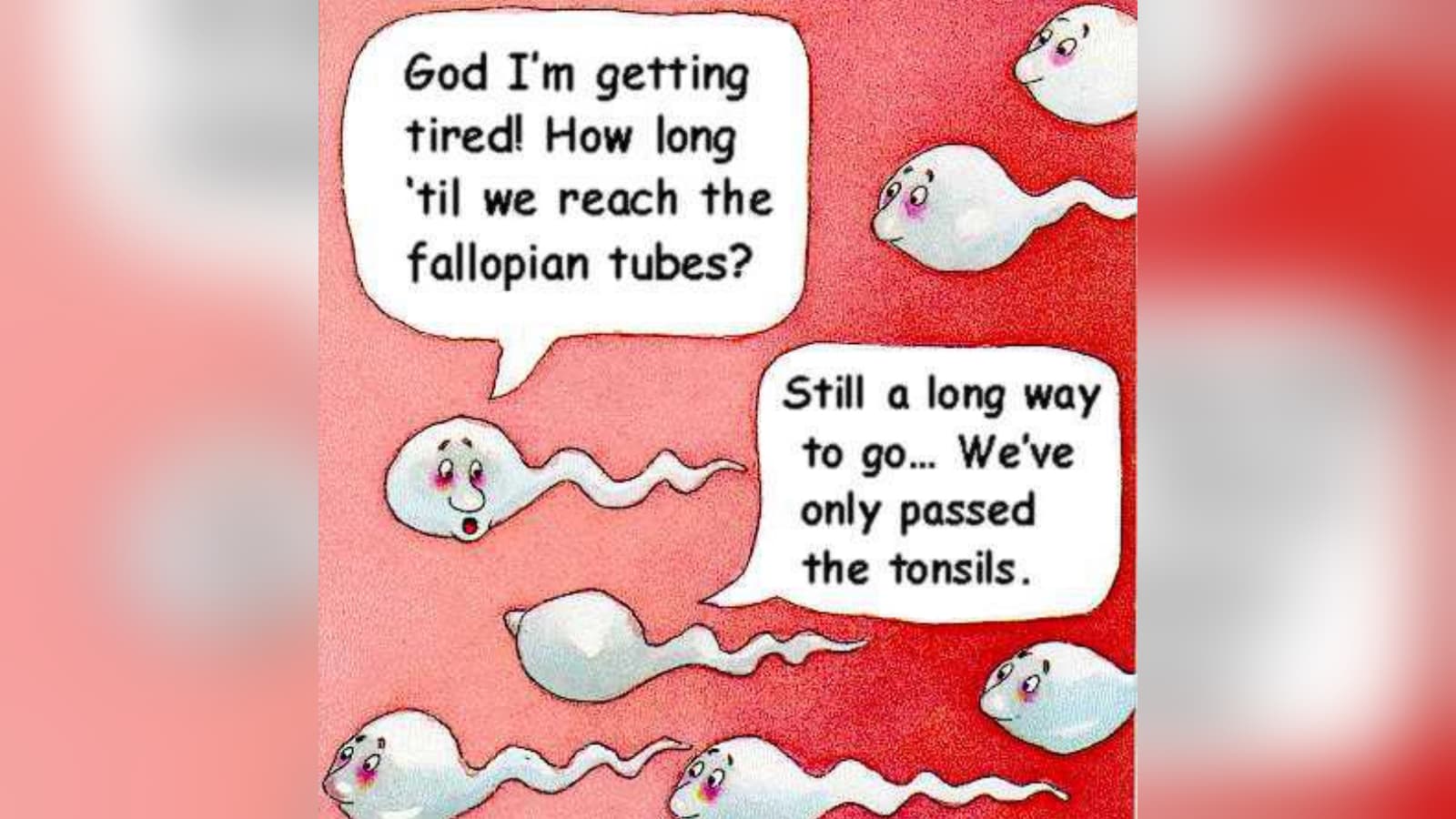 Two Sperm Cells Talking meme template - Two Sperm Cells Talking