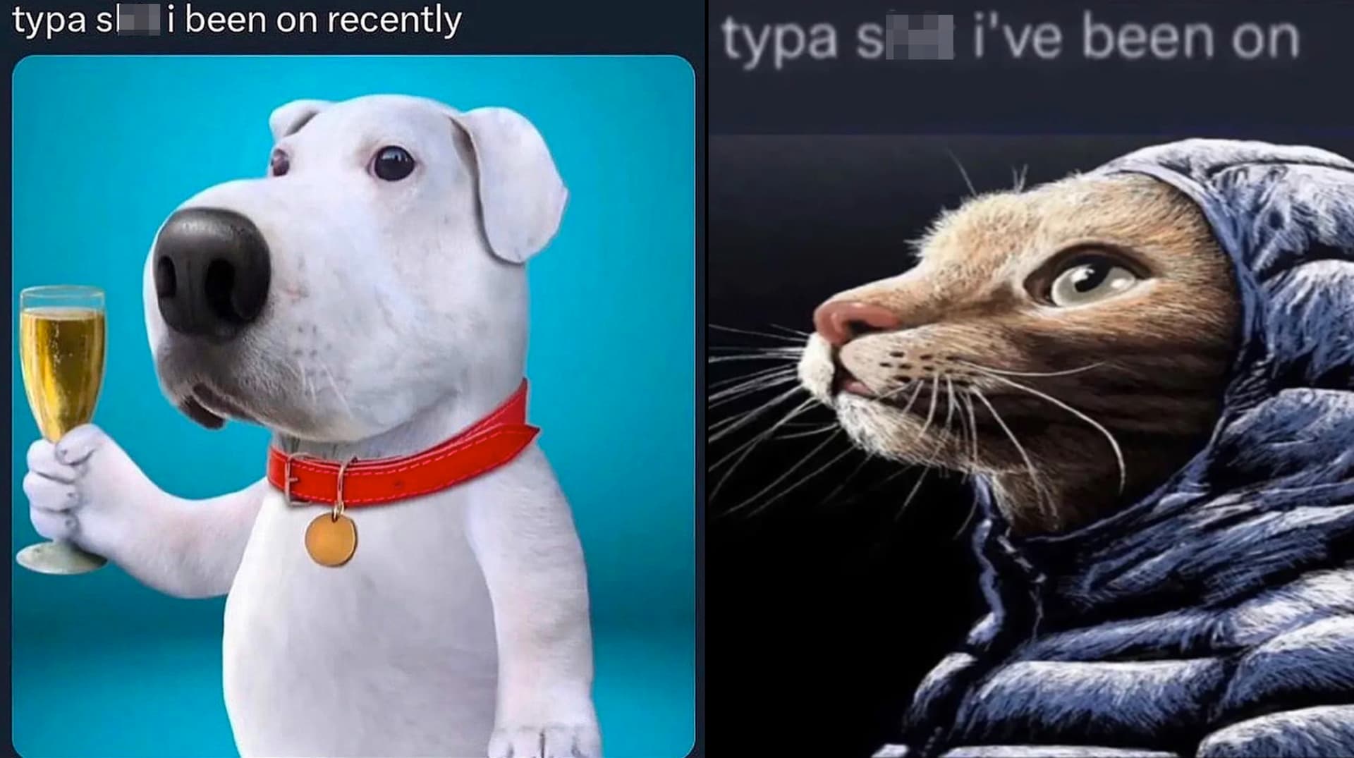 Typa Shit I Been On meme template - Typa Shit I Been On