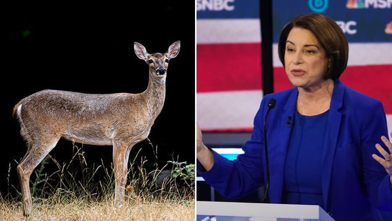 Uncle Dick in the Deer Stand meme template - Uncle Dick in the Deer Stand