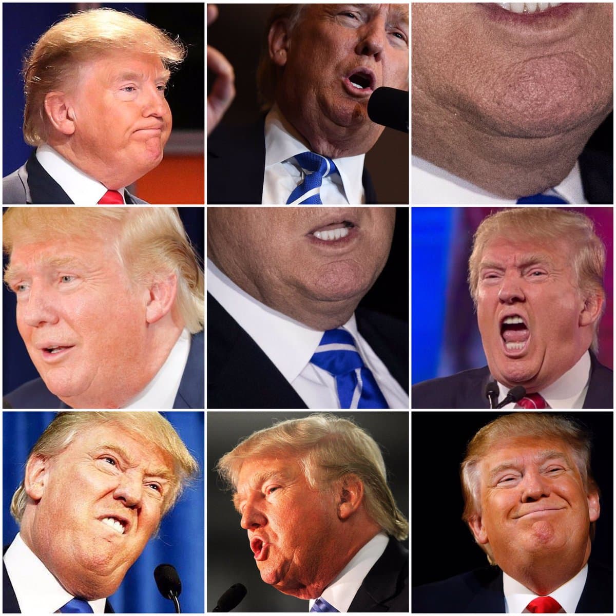 Unflattering Donald Trump meme template - Unflattering Donald Trump