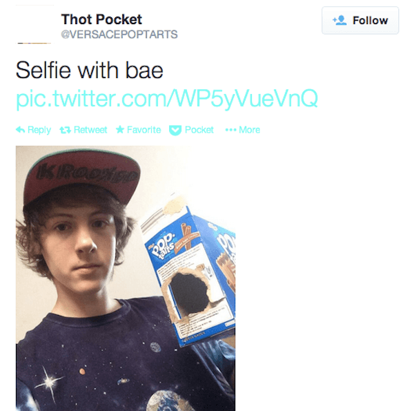 @Versacepoptarts' Hot Pocket Stunt meme template - Versacepoptarts Hot Pocket