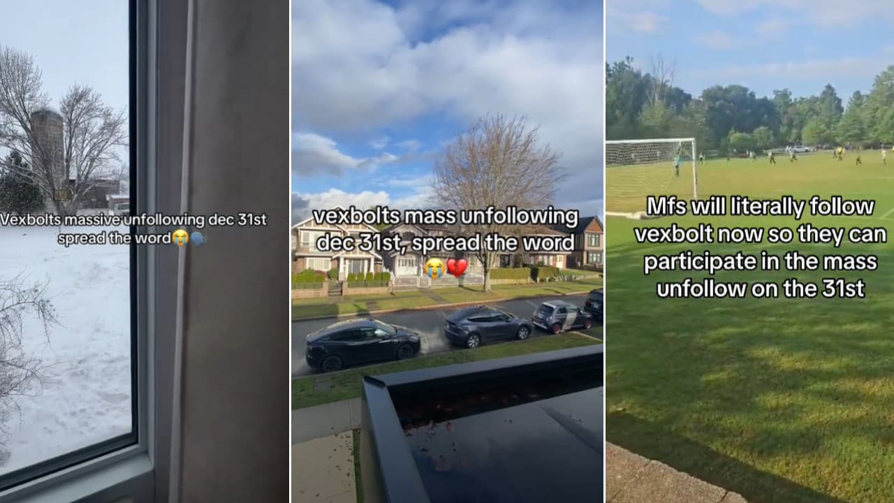 Vexbolts Mass Unfollowing December 31st, 2024 meme template - Vexbolts Mass Unfollowing