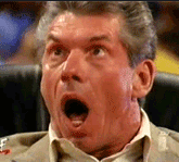 Vince McMahon Reaction meme template - Vince McMahon Reaction