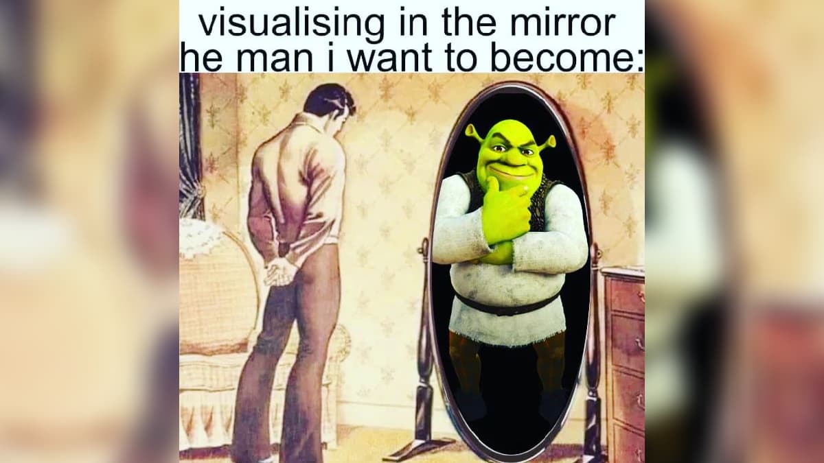 Visualizing In the Mirror the Man I Want to Become meme template - Visualizing In the Mirror