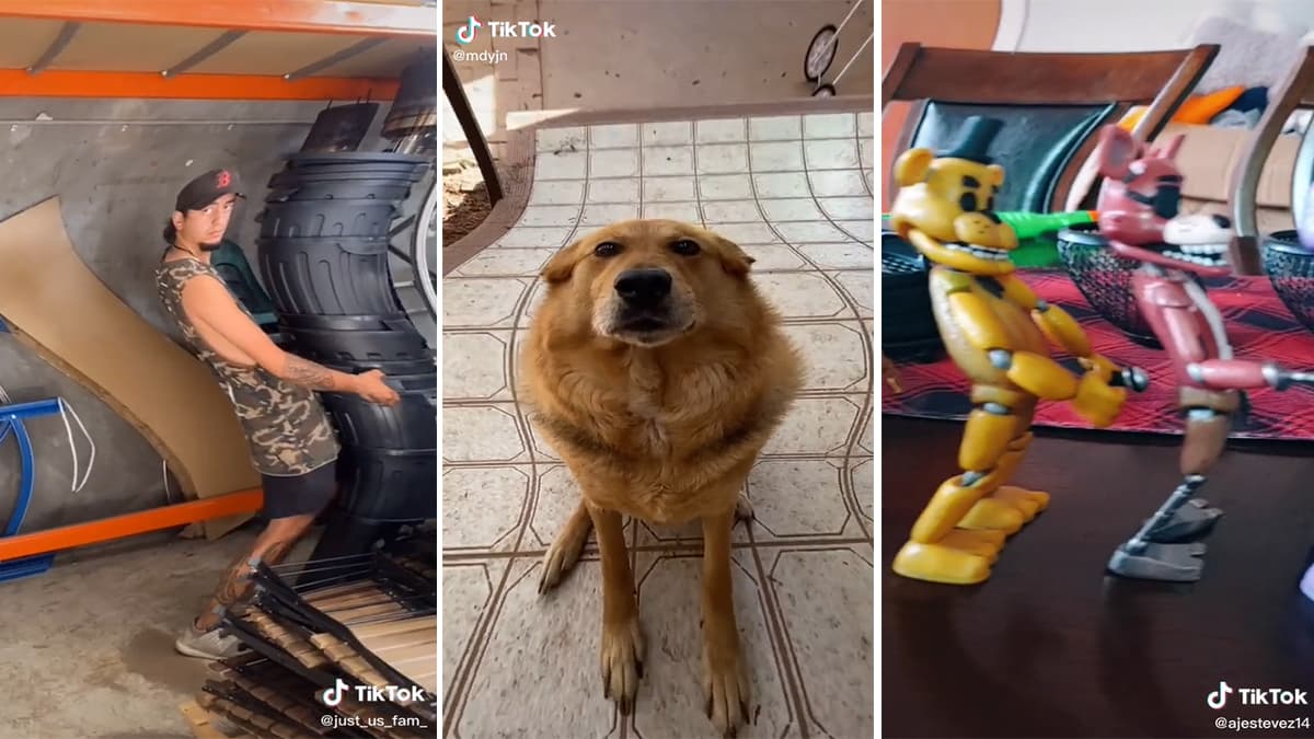 Wacky Mirror Effect meme template - Wacky Mirror Effect