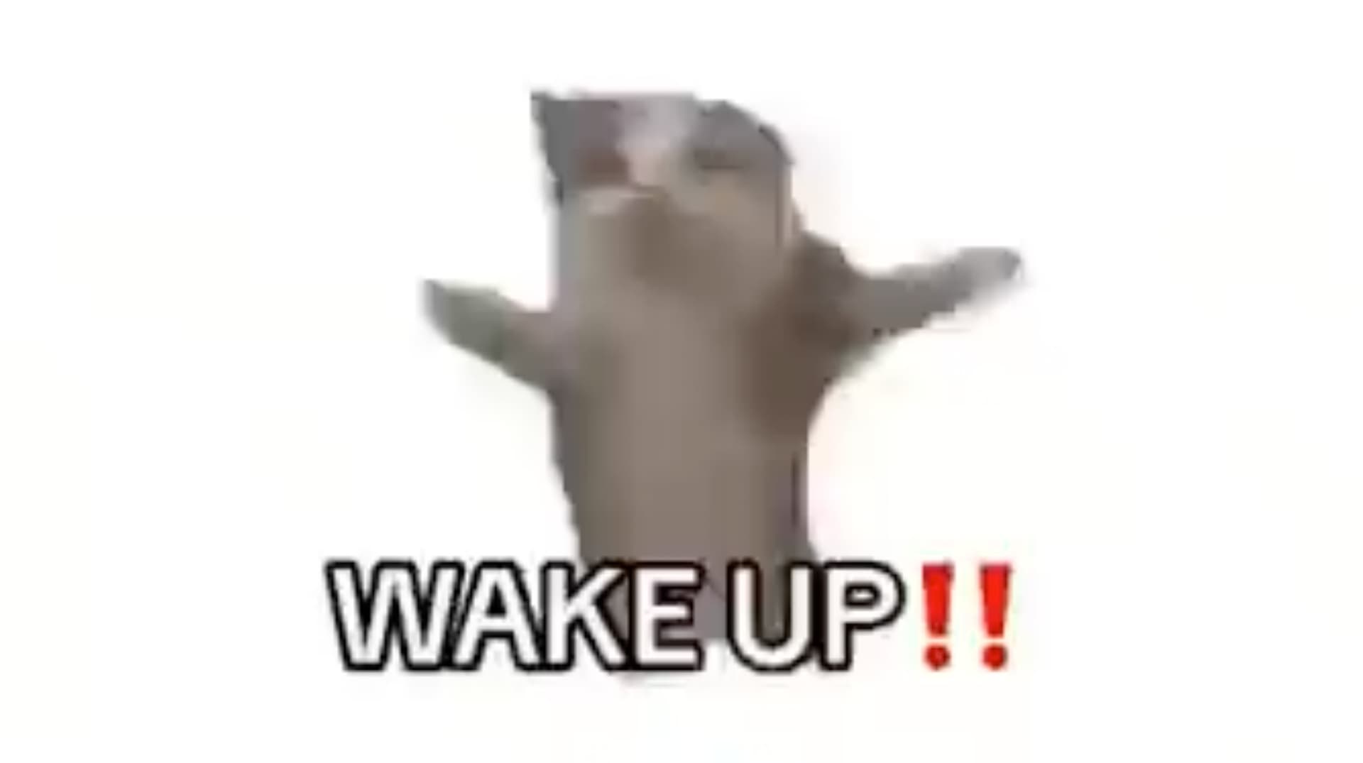 Wake Up It's The First Of The Month meme template - Wake Up It's The First Of The Month