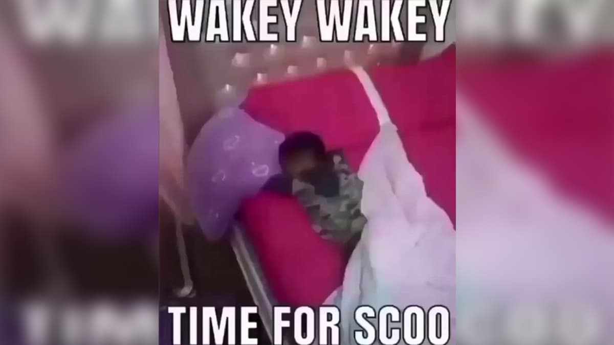 Wakey Wakey it's Time for School meme template - Wakey Wakey It's Time For School