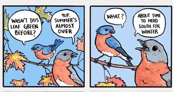 Wasn't This Leaf Green Before? meme template - Wasn't This Leaf Green Before