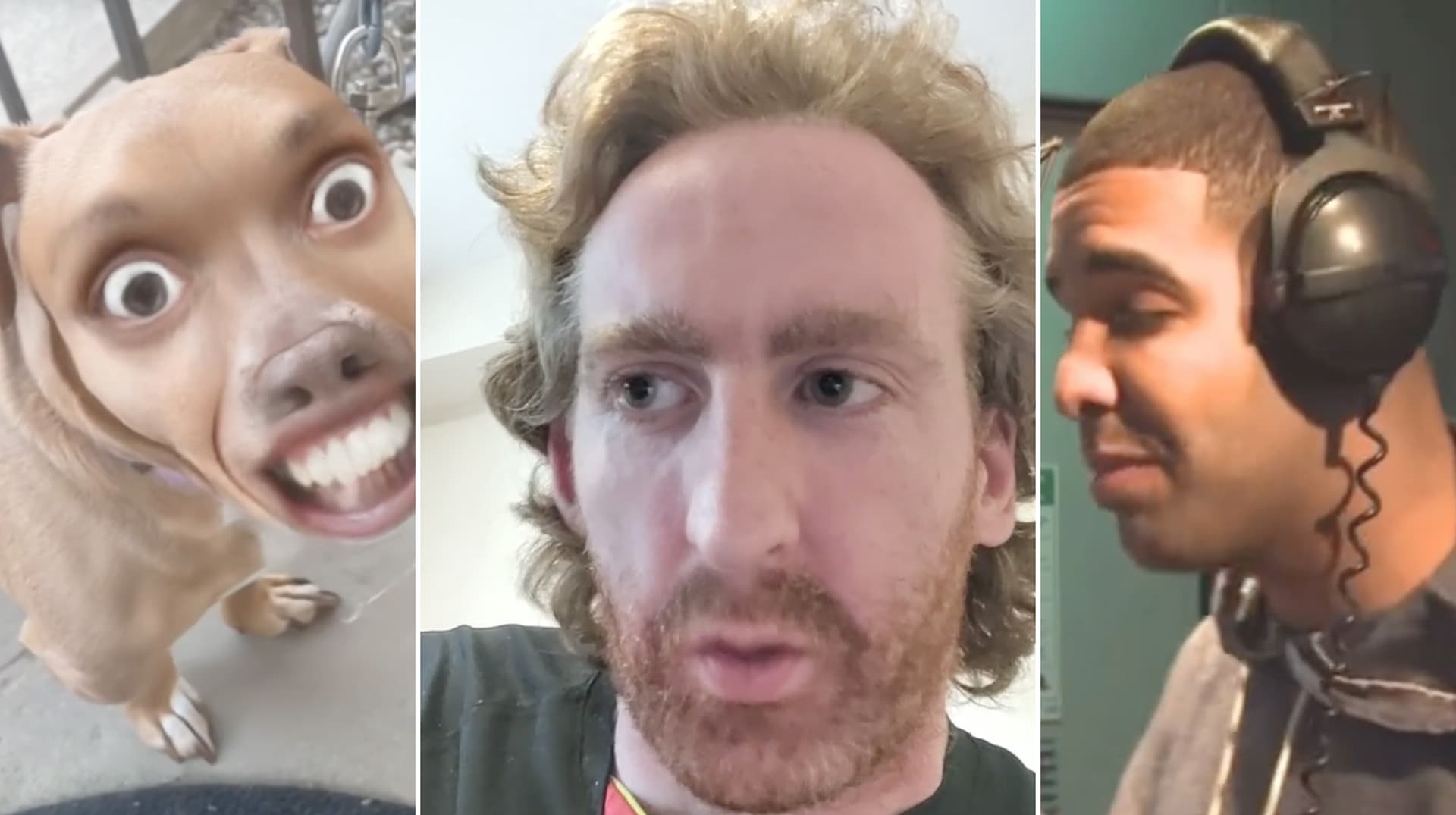 We All Want a Teenage Mutant Ninja Turtle meme template - TMNT