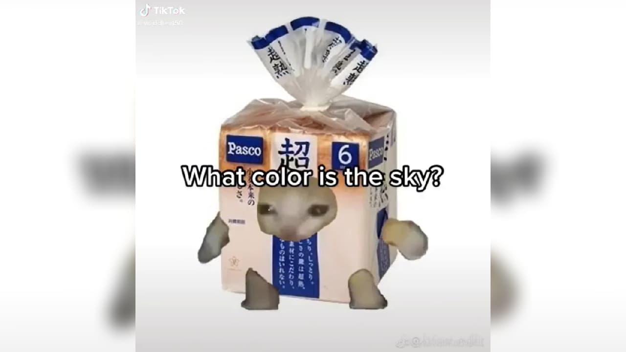 What Color Is The Sky? Ay Mi Amor Cat Meme meme template - What Color Is The Sky Cat