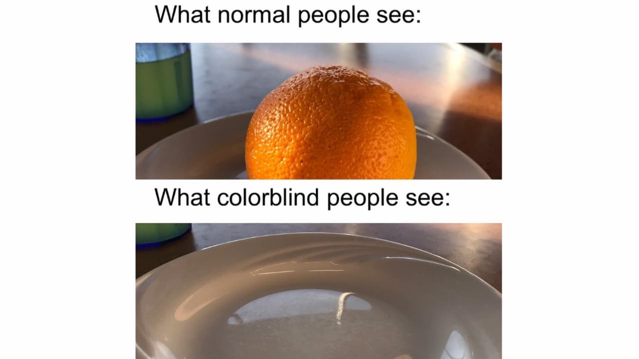 What Colorblind People See meme template - What Colorblind People See