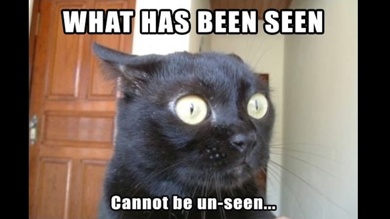 What Has Been Seen Cannot Be Unseen meme template - What Has Been Seen Cannot Be Unseen