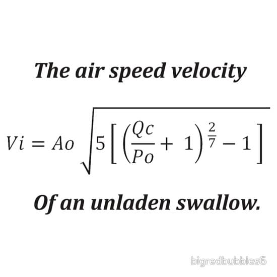 What Is the Airspeed Velocity of an Unladen Swallow? meme template - Airspeed Velocity of an Unladen Swallow