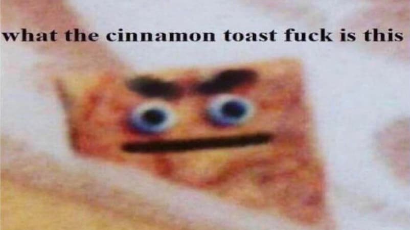 What the Cinnamon Toast Fuck Is This meme template - What the Cinnamon Toast Fuck Is This