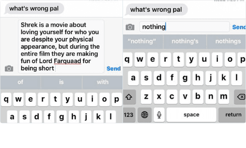 "What's Wrong?" "Nothing" meme template - What's Wrong Nothing