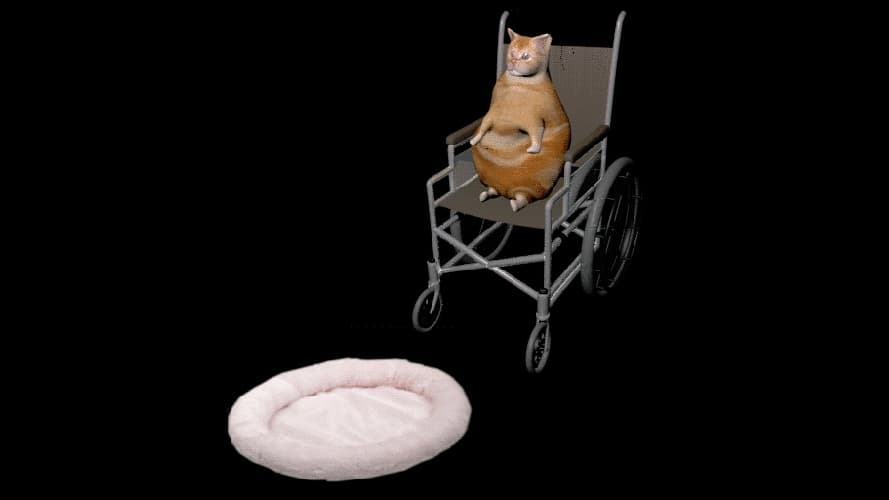 Wheelchair Cat meme template - Wheelchair Cat