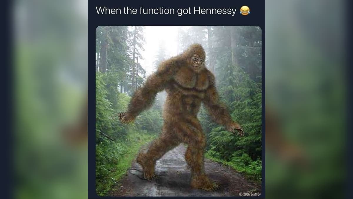 When The Function Got Hennessy meme template - When The Function Got Hennessy