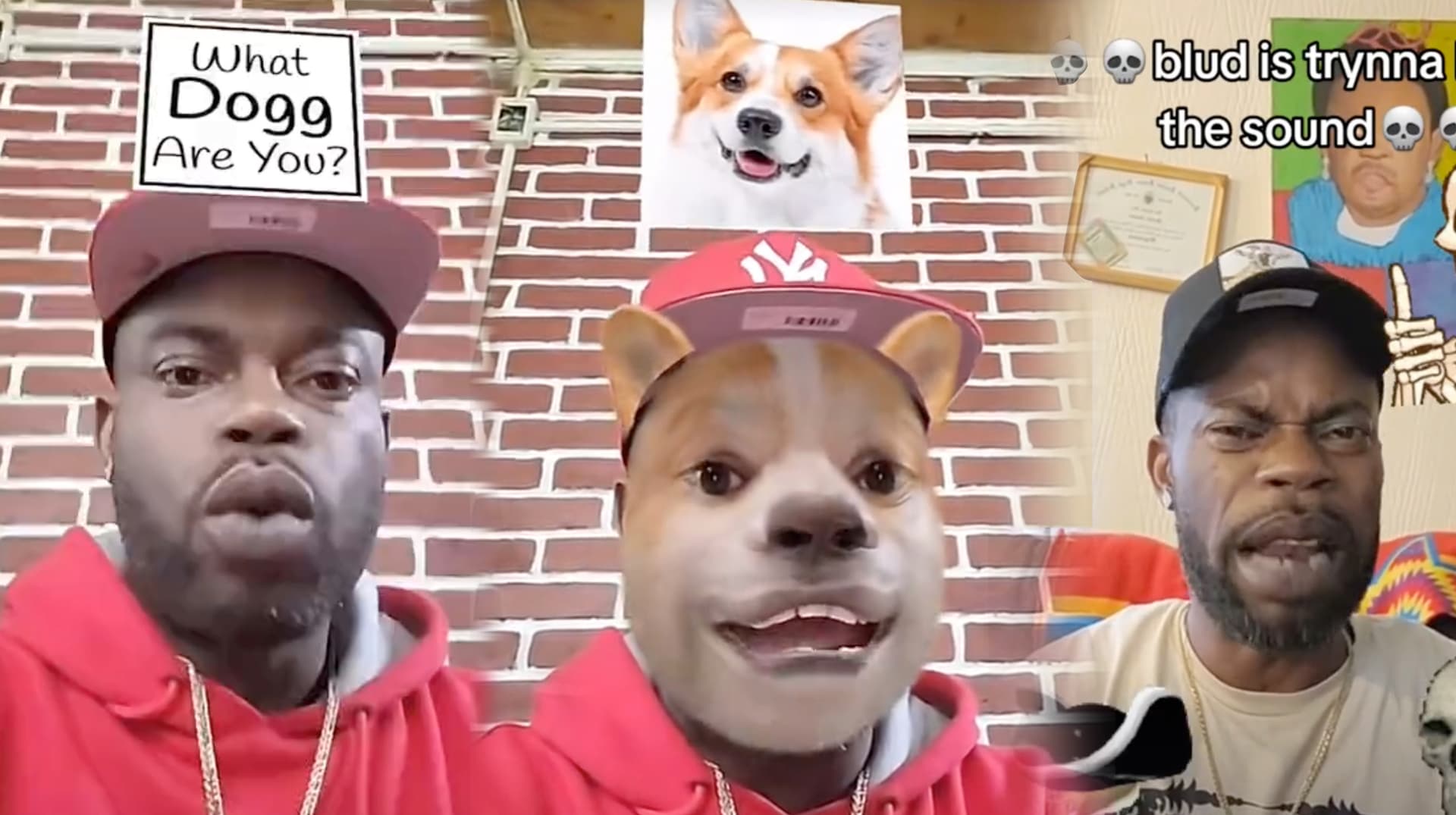 Which Bomboclaat Dog I Am? meme template - Bomboclaat Dog Maker