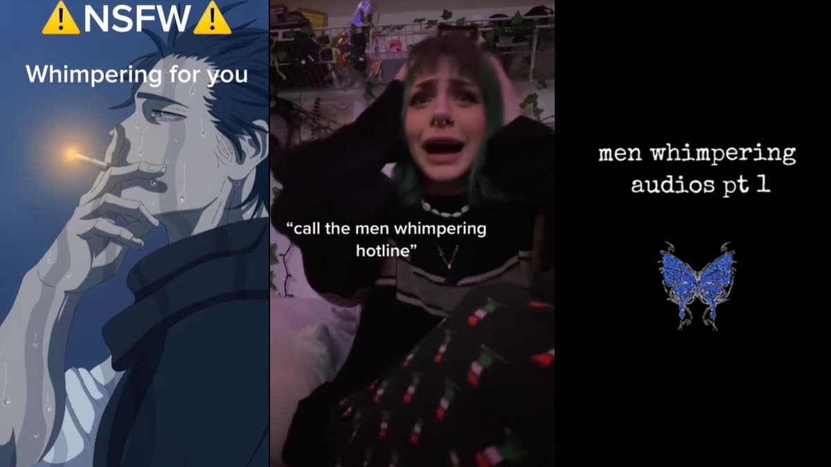 Whimpering Men Audio meme template - Whimpering Men Audio