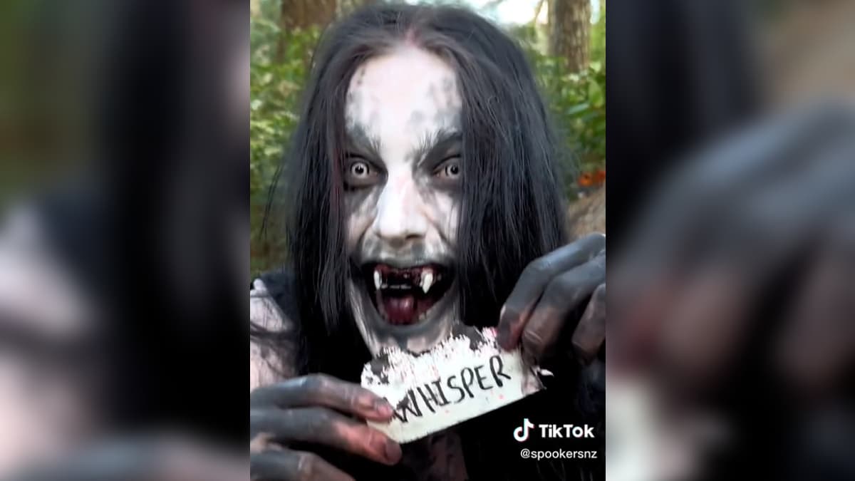 Whisper (TikTok Character) meme template - Whisper TikTok