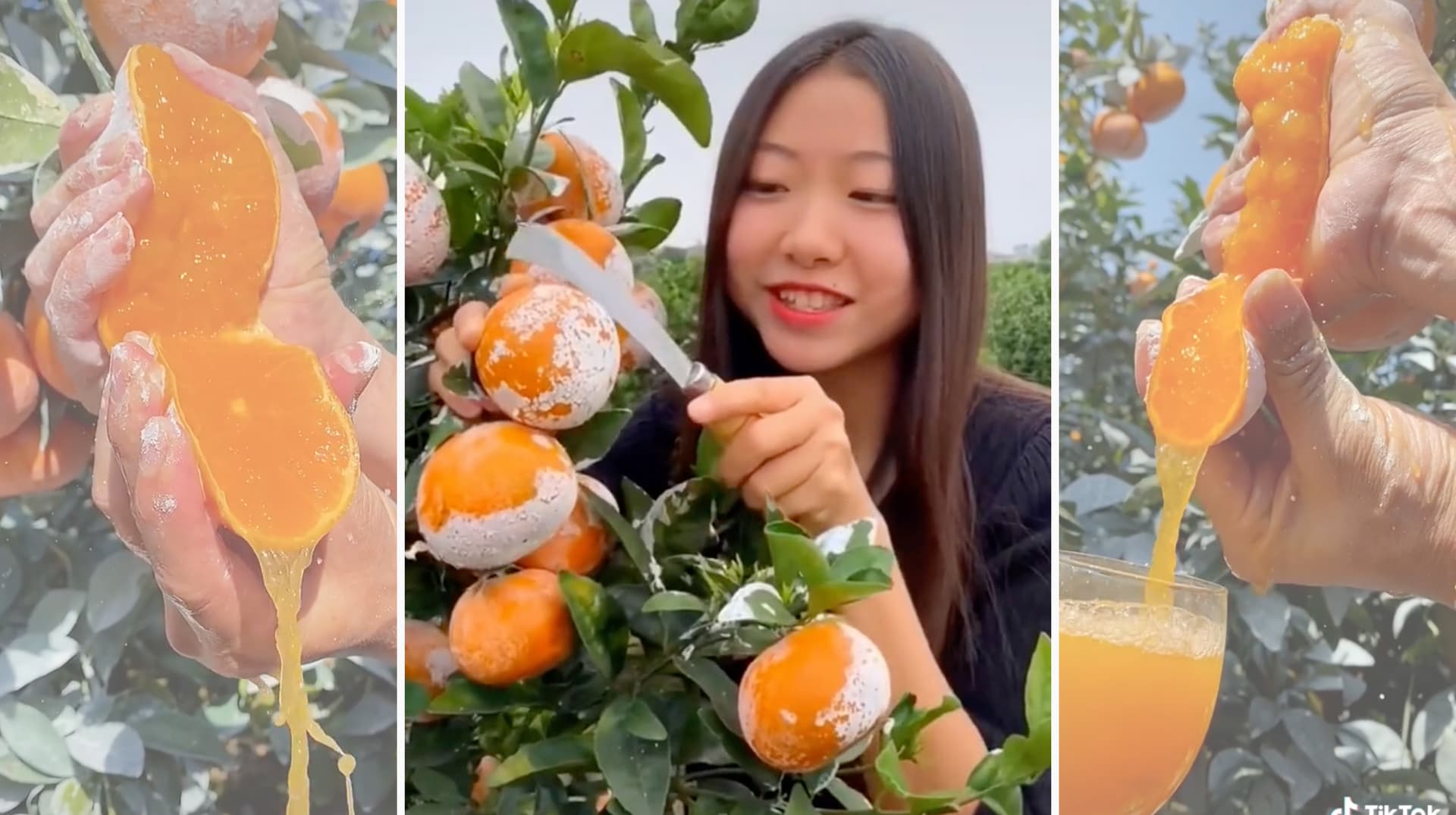 White Powdered Oranges meme template - White Powdered Oranges