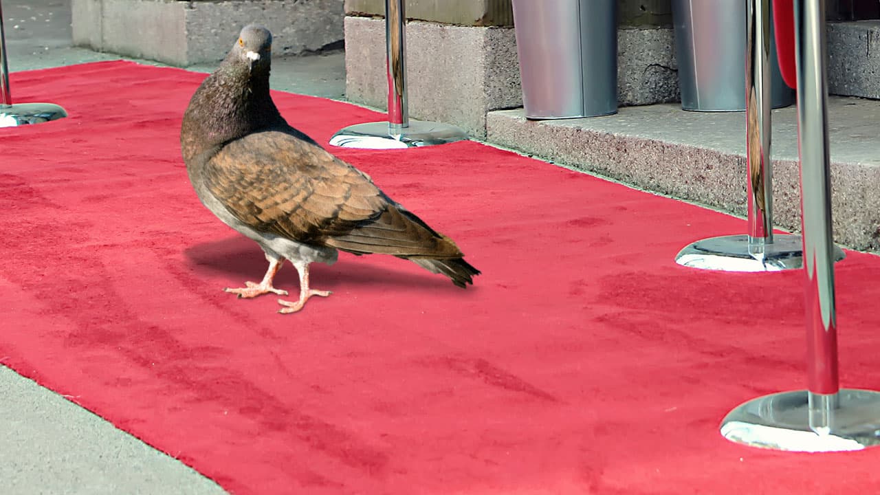 Who Is She? meme template - Who Is She