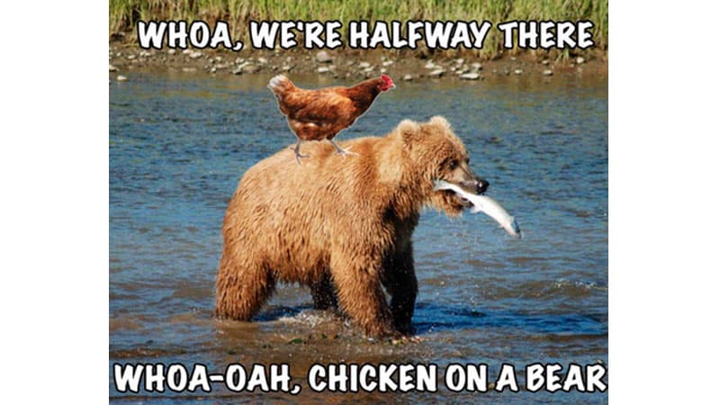 Whoa, We’re Halfway There meme template - Whoa We're Halfway There