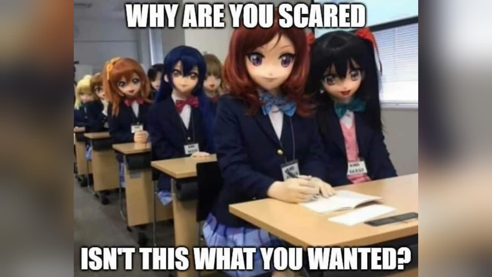 Why Are You Scared? Isn't This What You Wanted? meme template - Why Are You Scared