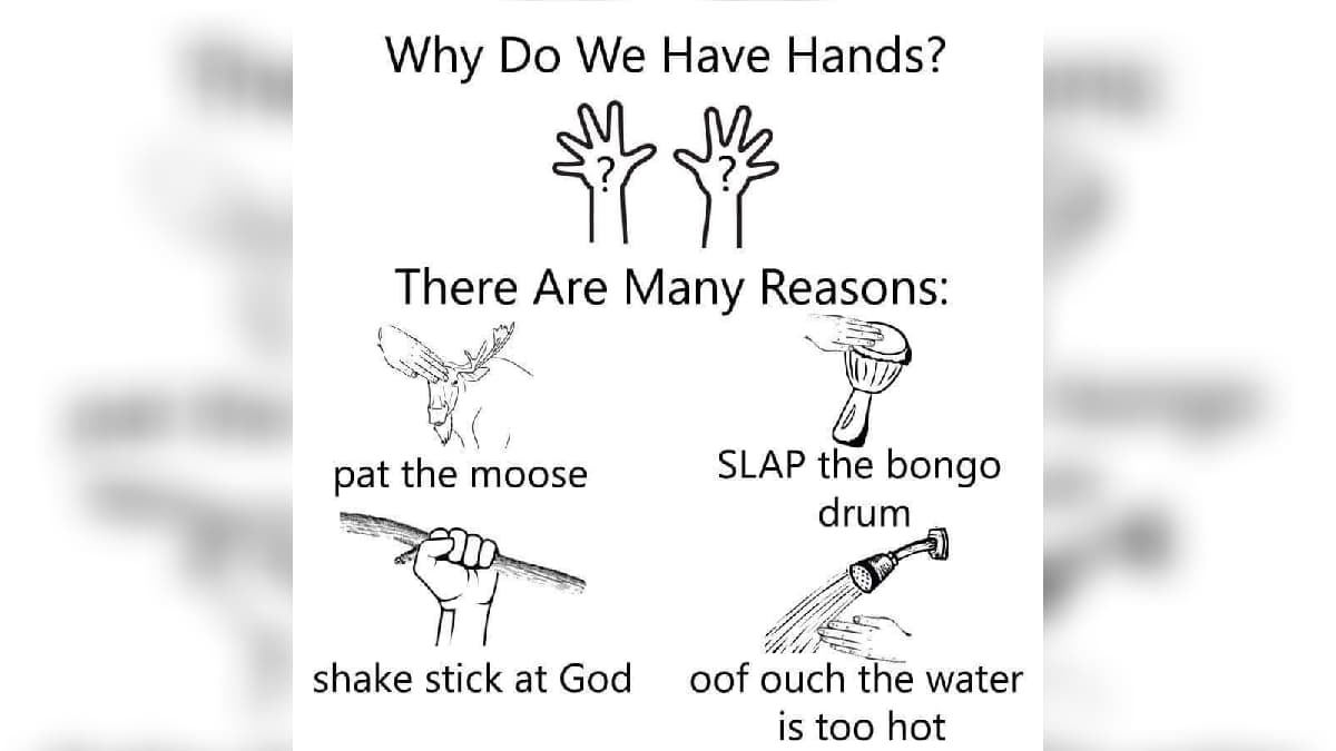Why Do We Have Hands? There Are Many Reasons meme template - Why Do We Have Hands