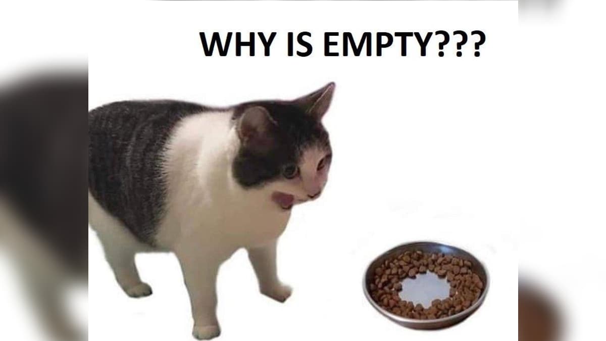 Why Is It Empty? meme template - Why Is It Empty