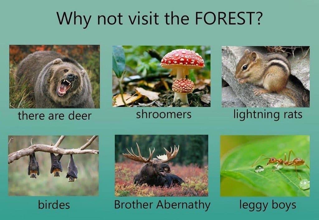 "Why Not Visit?" Edits meme template - Why Not Visit