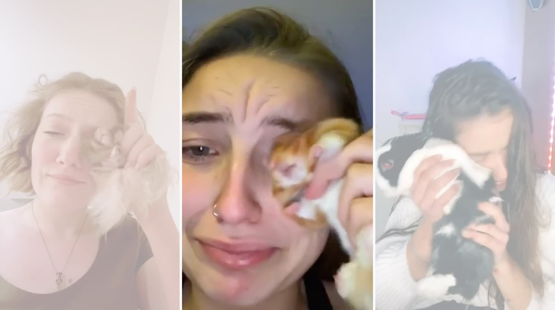 Wiping Tears With A Hamster meme template - Wiping Tears With A Hamster
