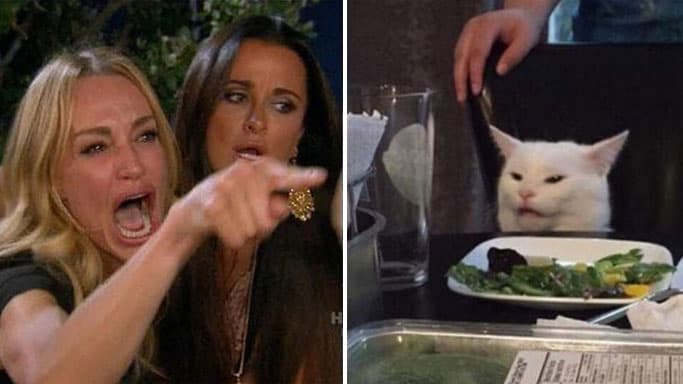 Woman Yelling at a Cat meme template - Woman Yelling at a Cat