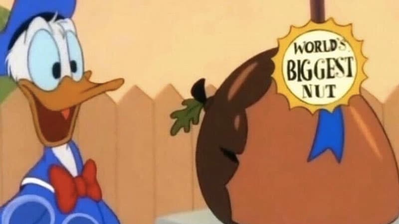 World's Biggest Nut meme template - World's Biggest Nut