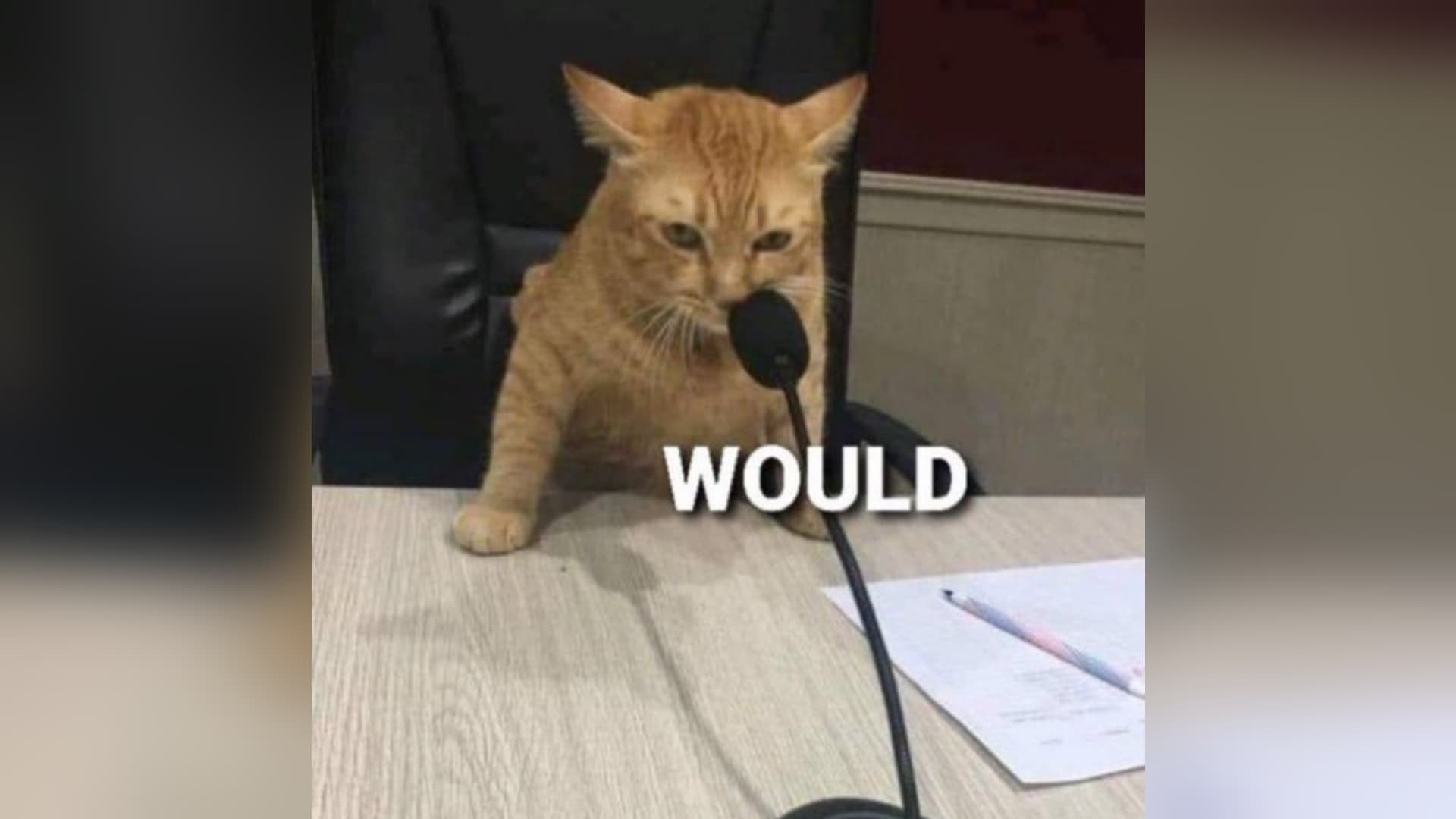 "Would" Reaction Images meme template - Would