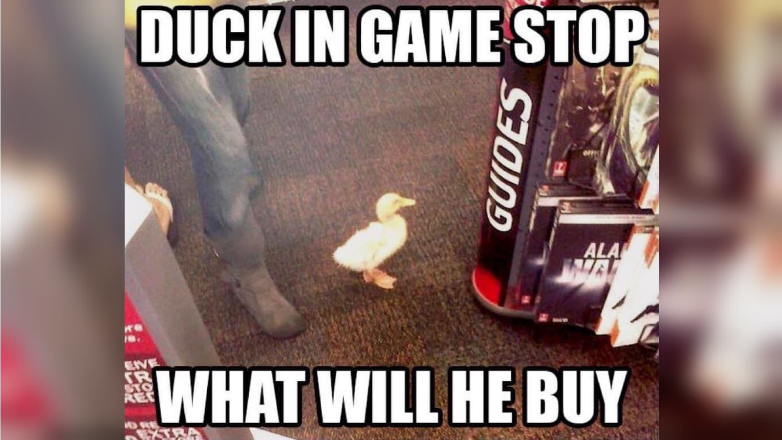 X in the Y, What Will He Do? meme template - X in the Y What Will He Do