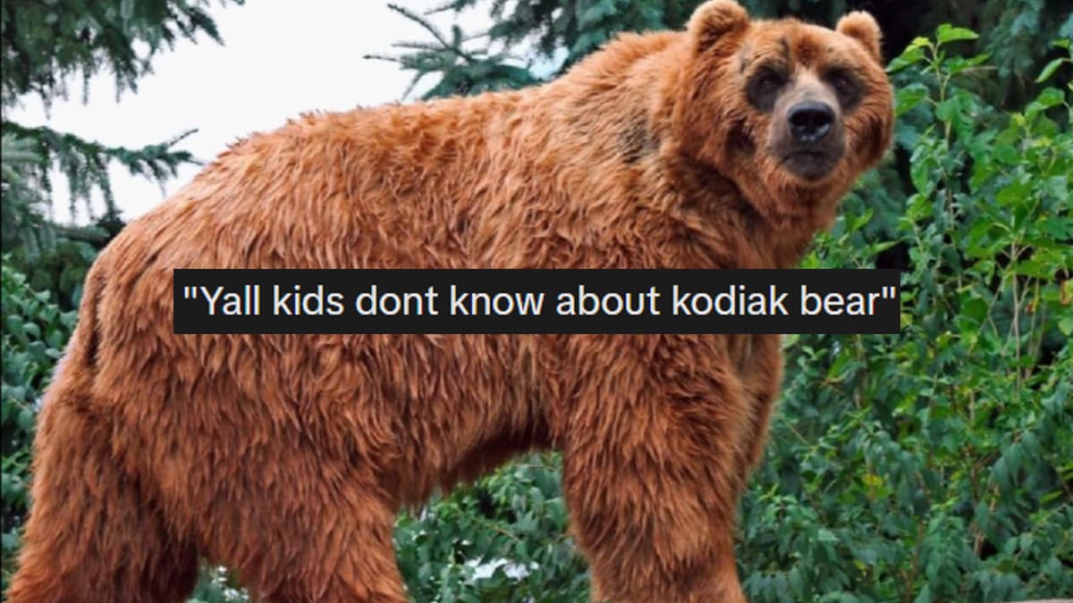 Y'all Don't Know About the Kodiak Bear meme template - Kodiak Bear