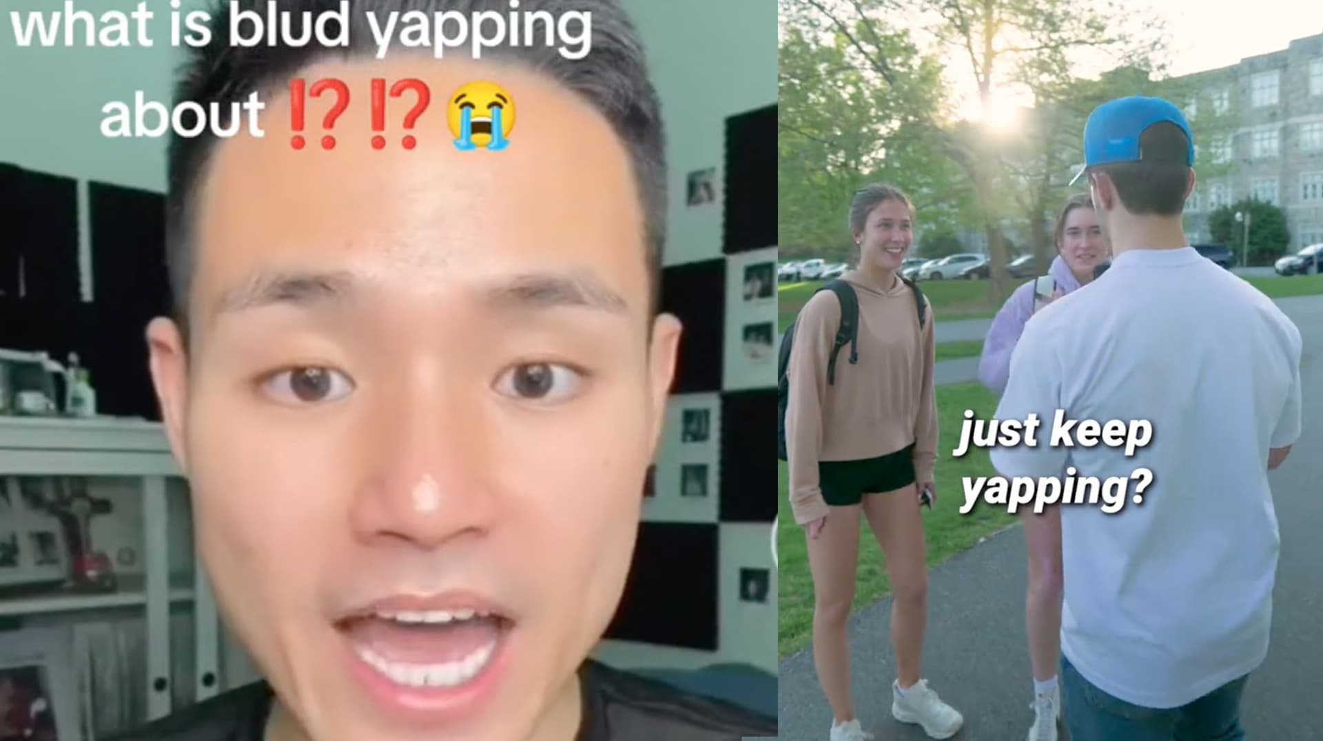 Yap / Yapping / Yapper meme template - Yap