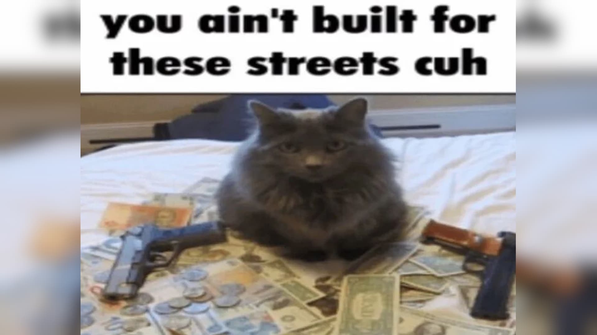 You Ain't Built for These Streets Cuh meme template - You Ain't Built for These Streets Cuh