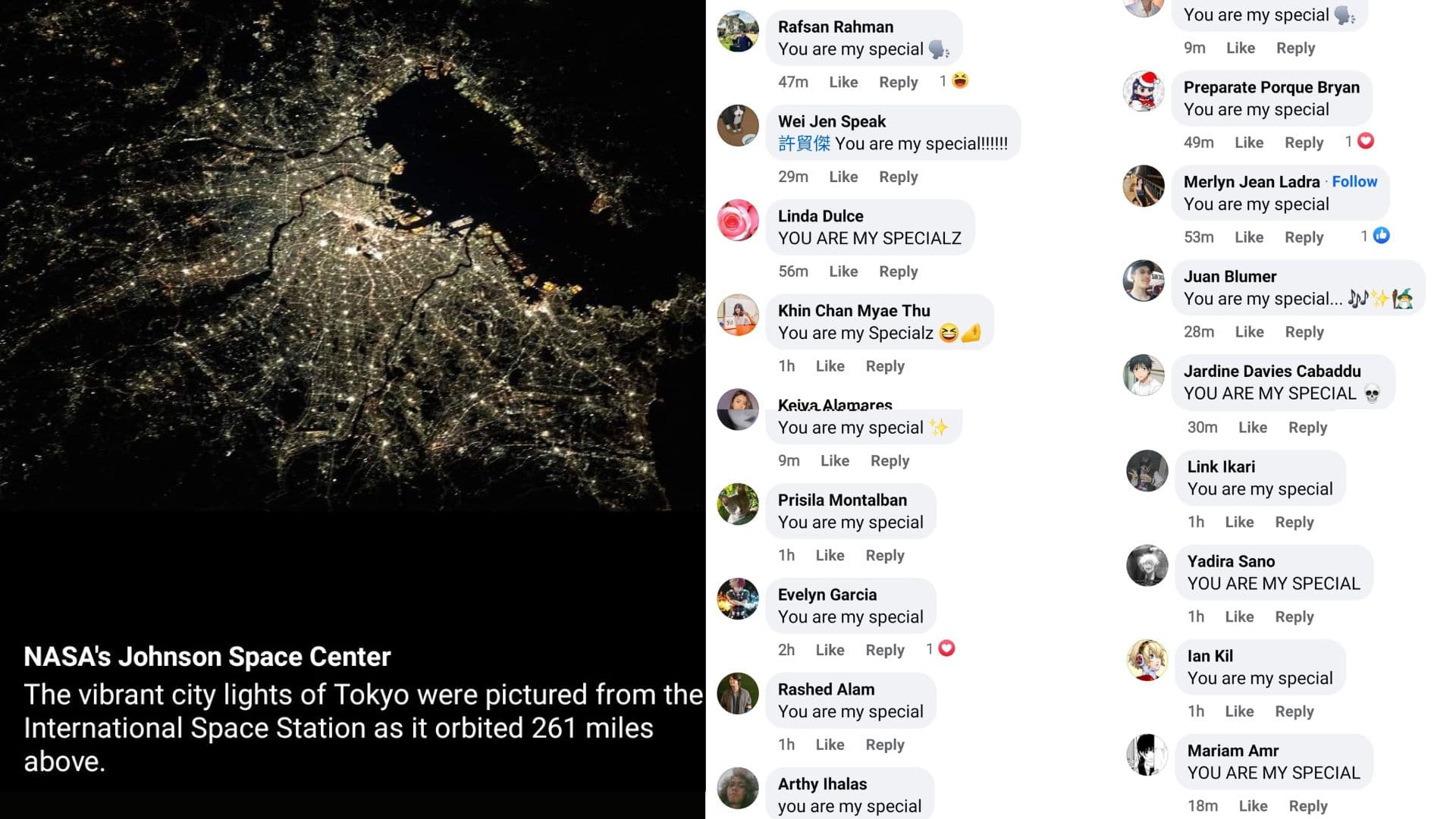 You Are My Special Copypasta meme template - You Are My Special