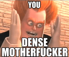 You Dense Motherfucker meme template - You Dense Motherfucker