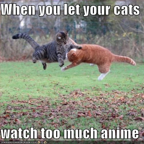 You Know You Play Too Much When meme template - You Know You Play Too Much When