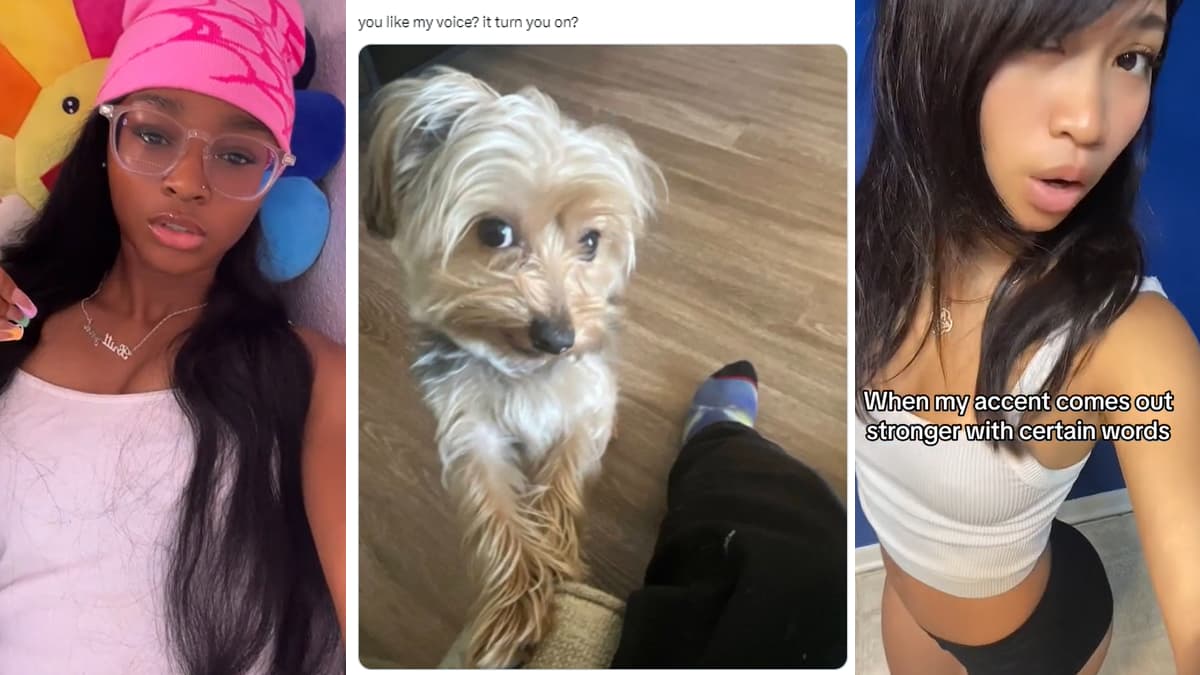 You Like My Voice? It Turn You On? meme template - You Like My Voice