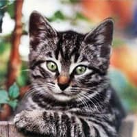 You Must Be New Here meme template - You Must Be New Here