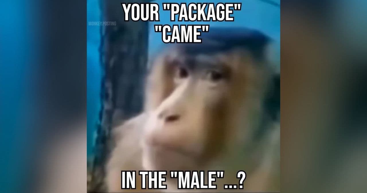 Your "Package" "Came" In the "Male" meme template - Your Package Came In The Male