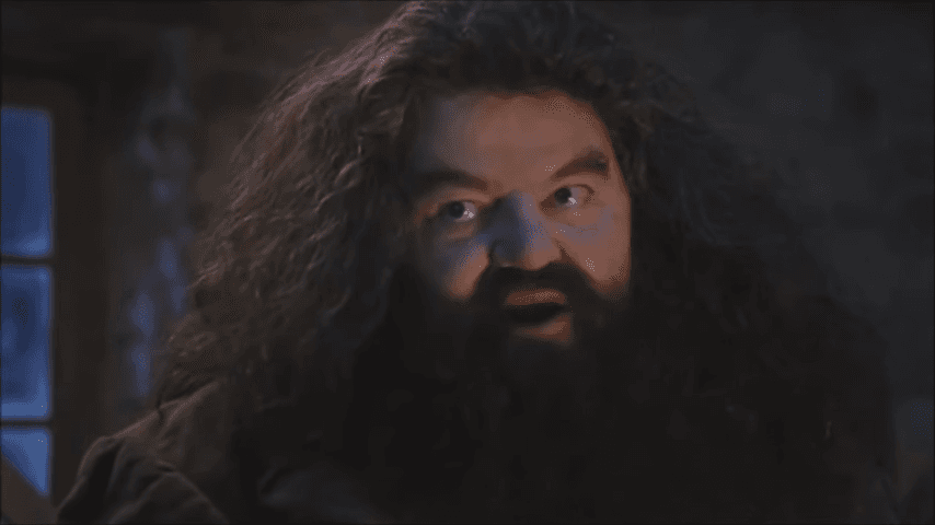 You're a Wizard, Harry! meme template - You're a Wizard Harry