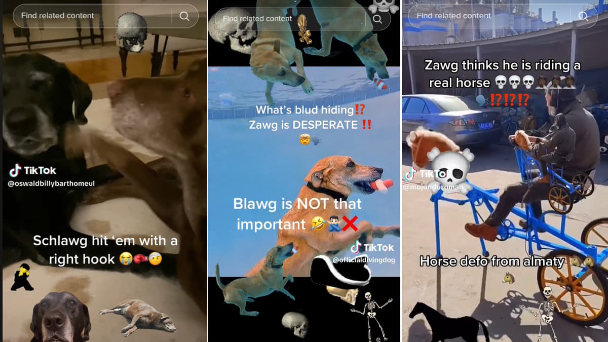 Zawg / Schlawg meme template - Zawg